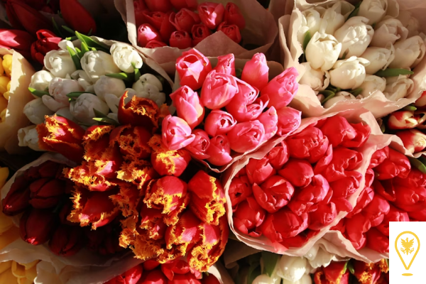 Así de fácil es regalar flores en Bogotá (aunque estés lejos)