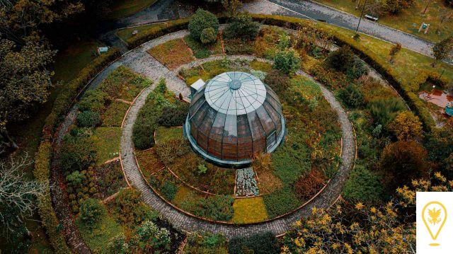 El Jardín Botánico José Celestino Mutis: Naturaleza y Sabiduría